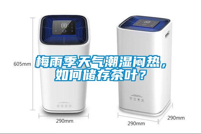 梅雨季天氣潮濕悶熱，如何儲存茶葉？