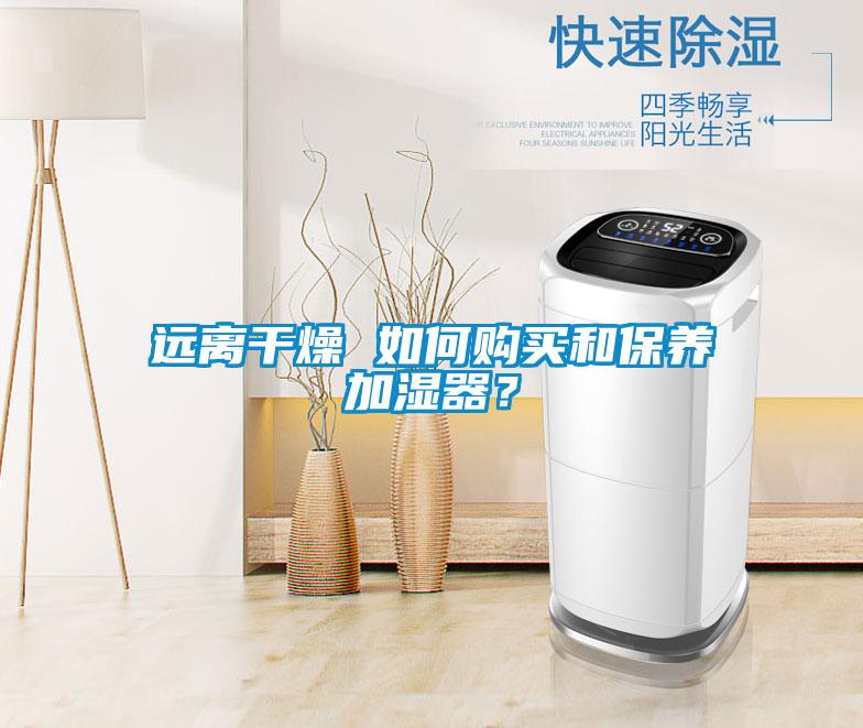遠(yuǎn)離干燥 如何購(gòu)買和保養(yǎng)加濕器？