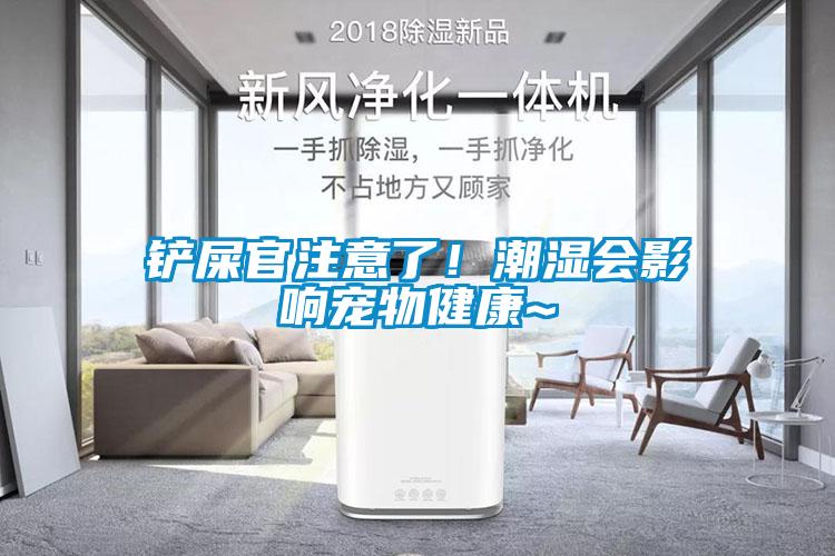 鏟屎官注意了！潮濕會(huì)影響寵物健康~