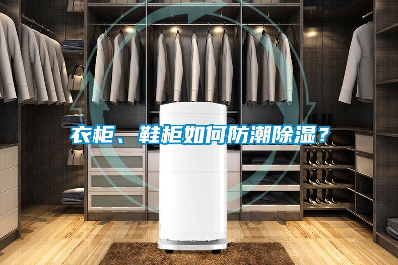 衣柜、鞋柜如何防潮除濕？