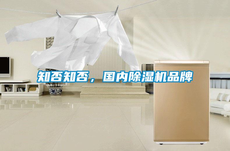 知否知否，國內(nèi)除濕機品牌