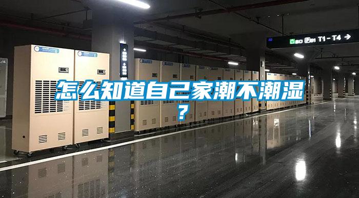 怎么知道自己家潮不潮濕？