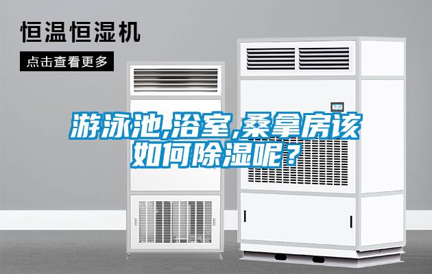 游泳池,浴室,桑拿房該如何除濕呢？