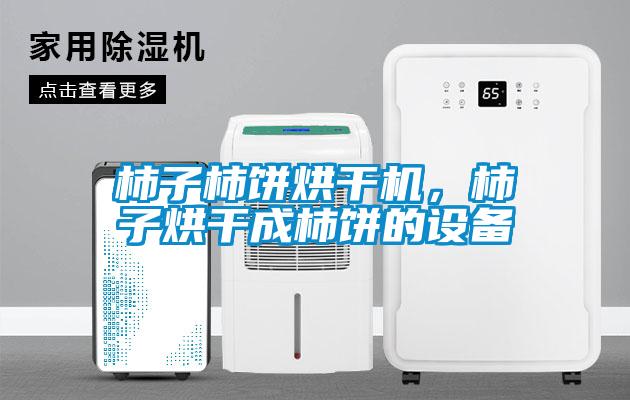柿子柿餅烘干機(jī)，柿子烘干成柿餅的設(shè)備