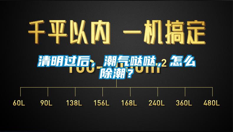 清明過后，潮氣噠噠，怎么除潮？