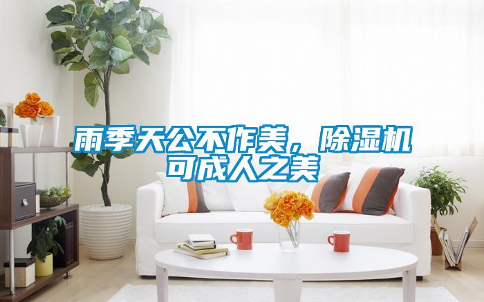 雨季天公不作美，除濕機可成人之美