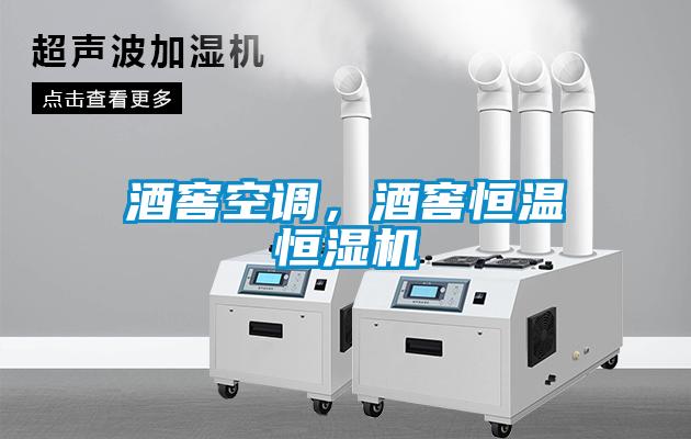 酒窖空調(diào)，酒窖恒溫恒濕機(jī)
