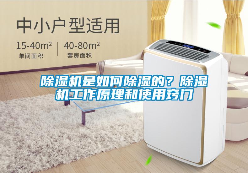 除濕機是如何除濕的？除濕機工作原理和使用竅門