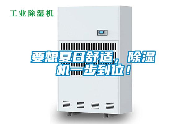 要想夏日舒適，除濕機(jī)一步到位！