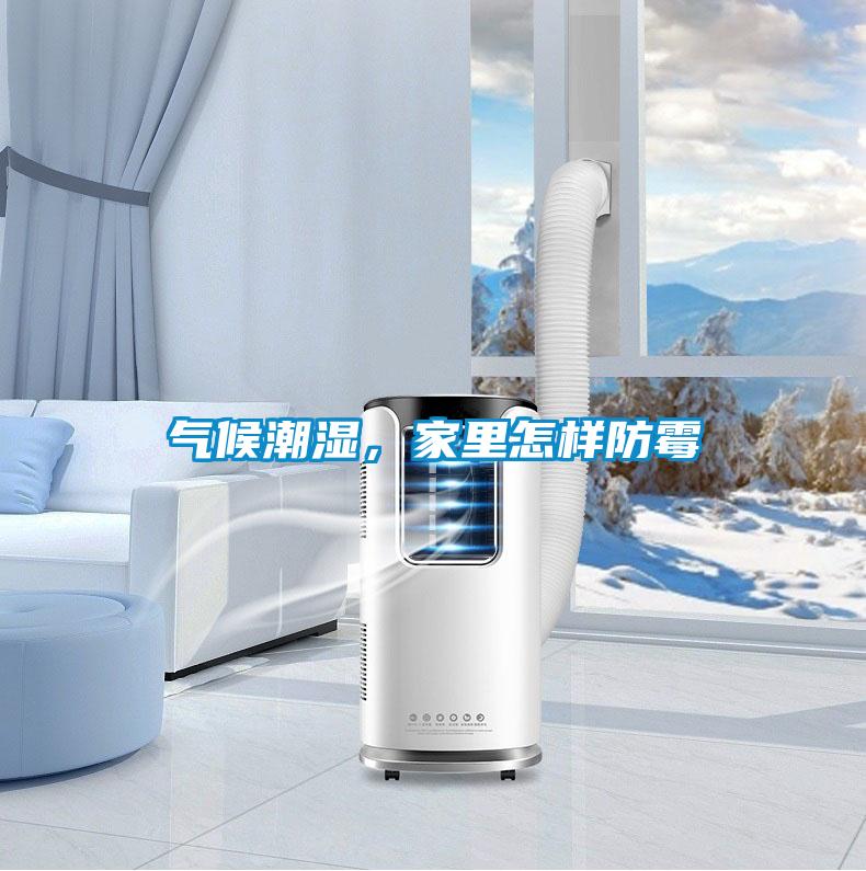 氣候潮濕，家里怎樣防霉