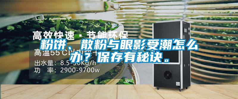粉餅、散粉與眼影受潮怎么辦？保存有秘訣。