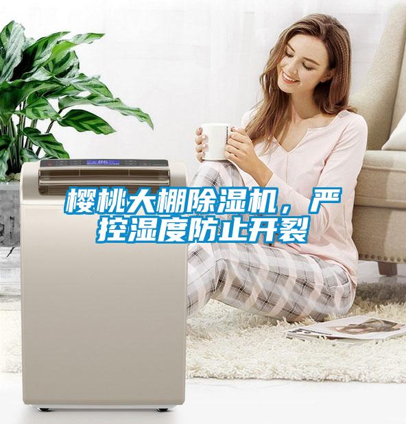 櫻桃大棚除濕機(jī)，嚴(yán)控濕度防止開裂