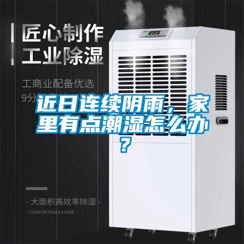 近日連續(xù)陰雨，家里有點(diǎn)潮濕怎么辦？