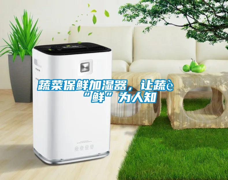 蔬菜保鮮加濕器，讓蔬菜“鮮”為人知