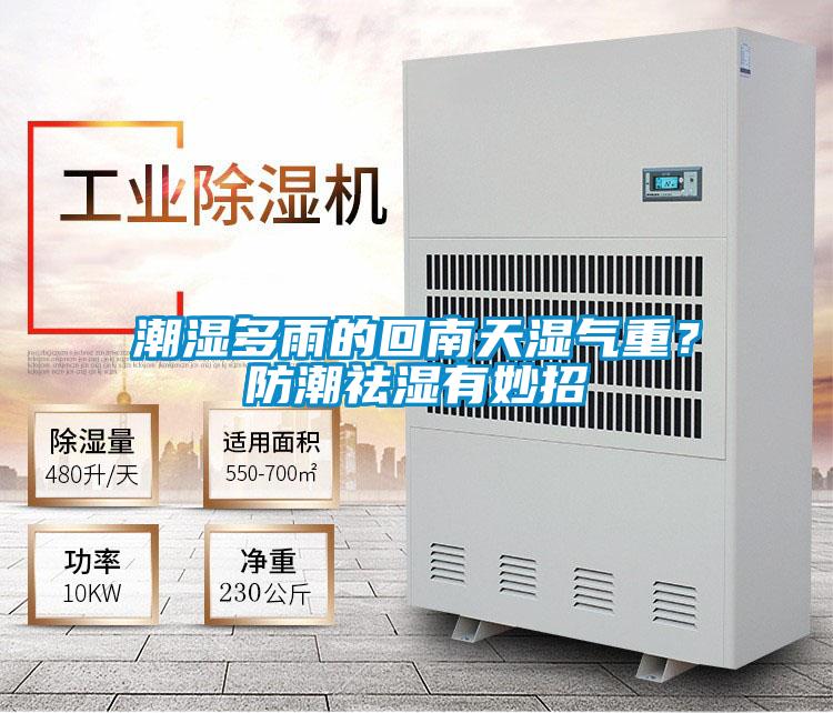 潮濕多雨的回南天濕氣重？防潮祛濕有妙招