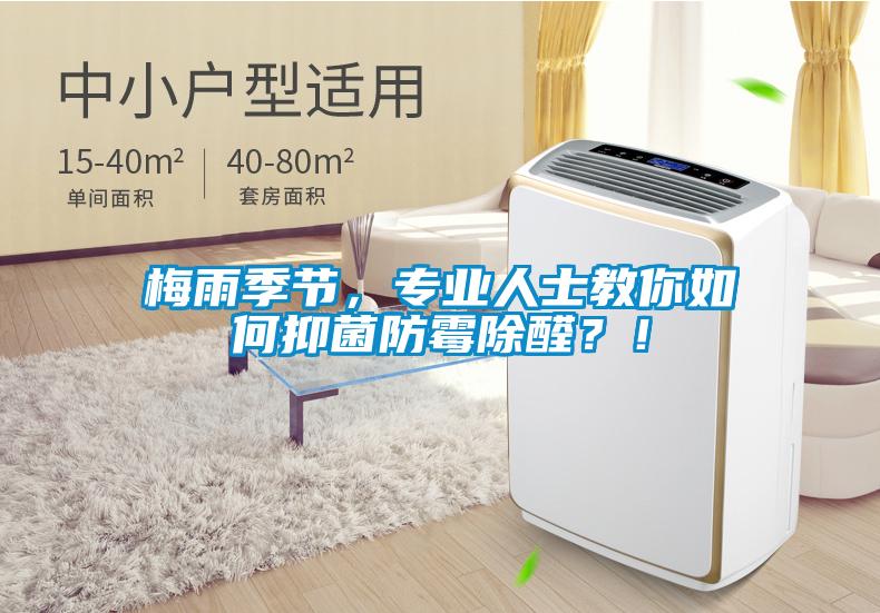 梅雨季節(jié)，專業(yè)人士教你如何抑菌防霉除醛？！