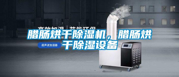 臘腸烘干除濕機(jī)，臘腸烘干除濕設(shè)備