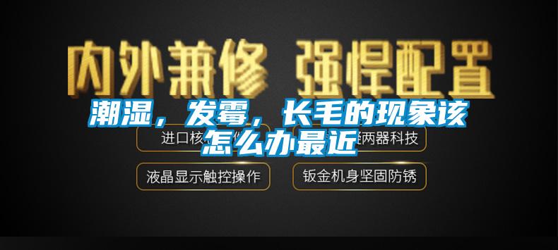潮濕，發(fā)霉，長毛的現(xiàn)象該怎么辦最近
