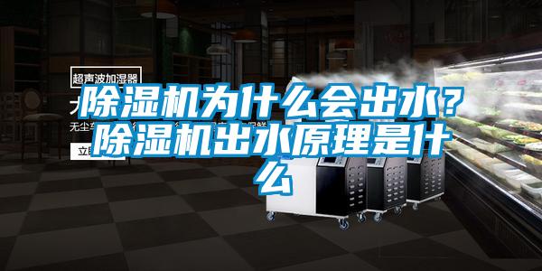 除濕機為什么會出水？除濕機出水原理是什么