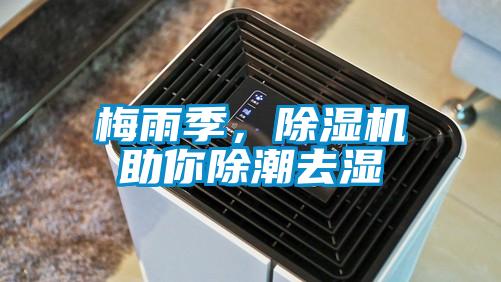 梅雨季，除濕機(jī)助你除潮去濕