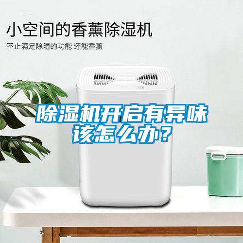 除濕機(jī)開啟有異味該怎么辦？