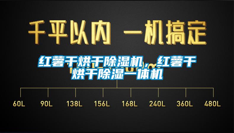 紅薯干烘干除濕機(jī)，紅薯干烘干除濕一體機(jī)