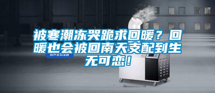 被寒潮凍哭跪求回暖？回暖也會(huì)被回南天支配到生無(wú)可戀！