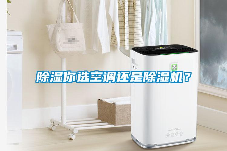 除濕你選空調(diào)還是除濕機(jī)？