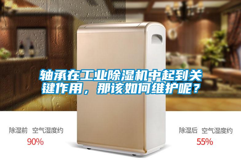 軸承在工業(yè)除濕機中起到關鍵作用，那該如何維護呢？