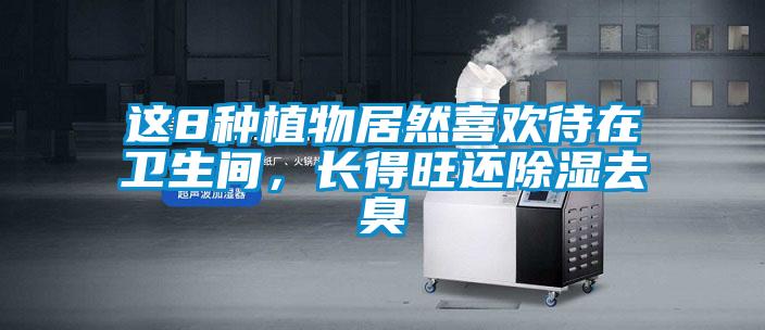 這8種植物居然喜歡待在衛(wèi)生間，長(zhǎng)得旺還除濕去臭