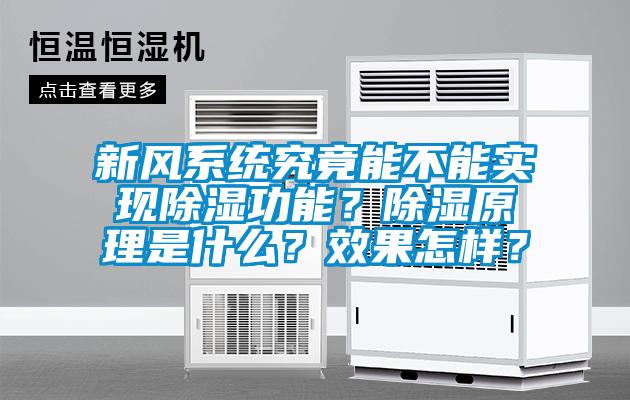 新風(fēng)系統(tǒng)究竟能不能實(shí)現(xiàn)除濕功能？除濕原理是什么？效果怎樣？