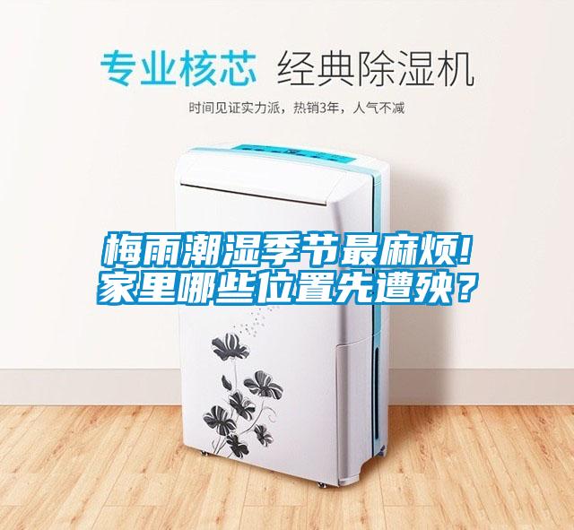 梅雨潮濕季節(jié)最麻煩!家里哪些位置先遭殃？