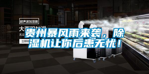 貴州暴風(fēng)雨來襲，除濕機(jī)讓你后患無憂！