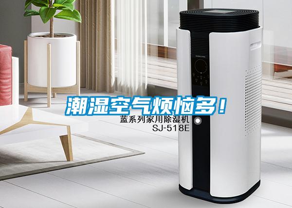潮濕空氣煩惱多！