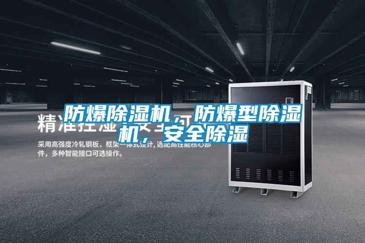 防爆除濕機(jī)，防爆型除濕機(jī)，安全除濕