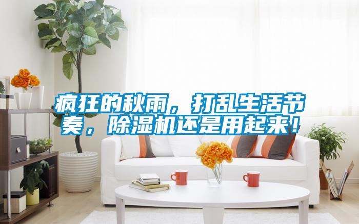 瘋狂的秋雨，打亂生活節(jié)奏，除濕機還是用起來！