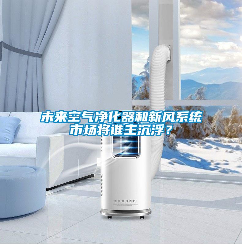 未來(lái)空氣凈化器和新風(fēng)系統(tǒng)市場(chǎng)將誰(shuí)主沉??？