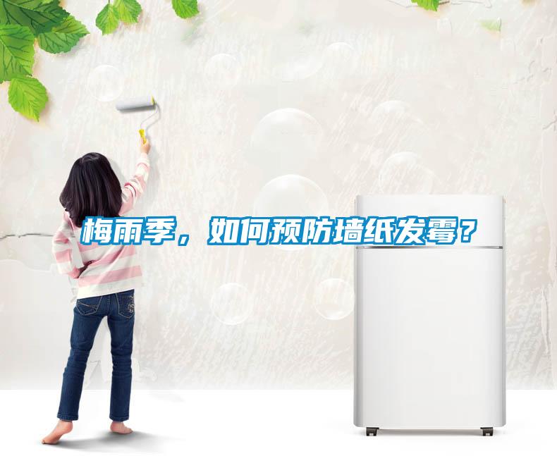 梅雨季，如何預(yù)防墻紙發(fā)霉？