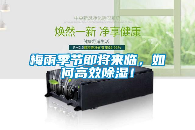 梅雨季節(jié)即將來臨，如何高效除濕！