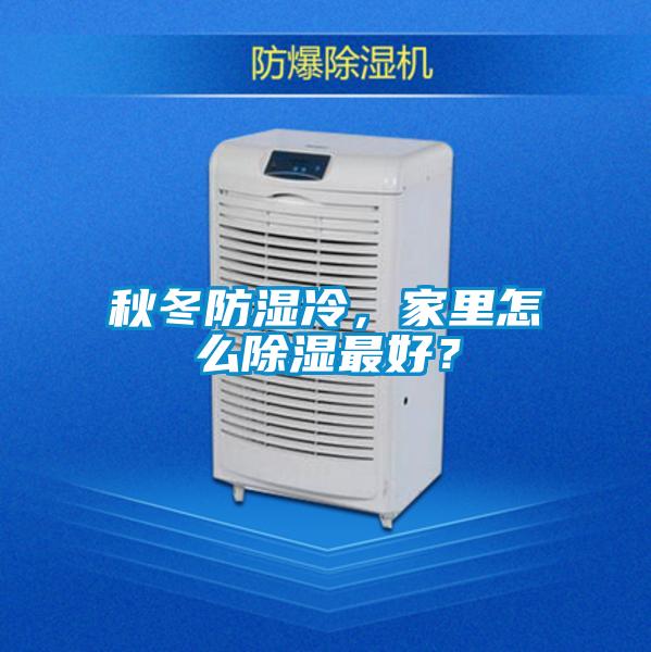 秋冬防濕冷，家里怎么除濕最好？