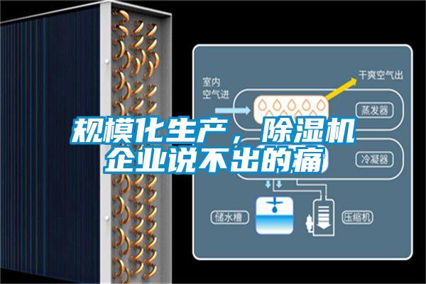 規(guī)?；a(chǎn)，除濕機(jī)企業(yè)說(shuō)不出的痛
