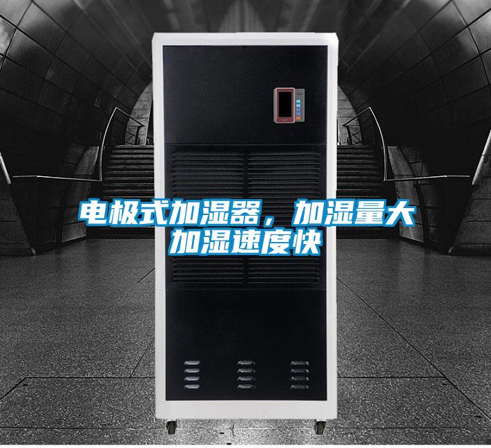 電極式加濕器，加濕量大加濕速度快
