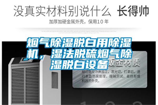 煙氣除濕脫白用除濕機(jī)，濕法脫硫煙氣除濕脫白設(shè)備