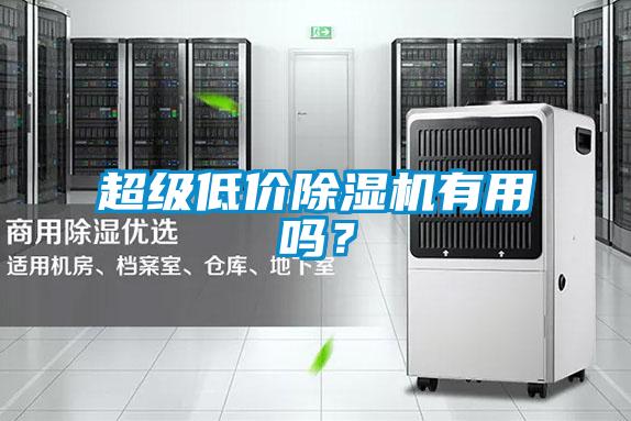 超級低價(jià)除濕機(jī)有用嗎？