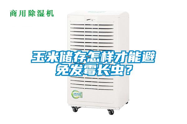 玉米儲存怎樣才能避免發(fā)霉長蟲？