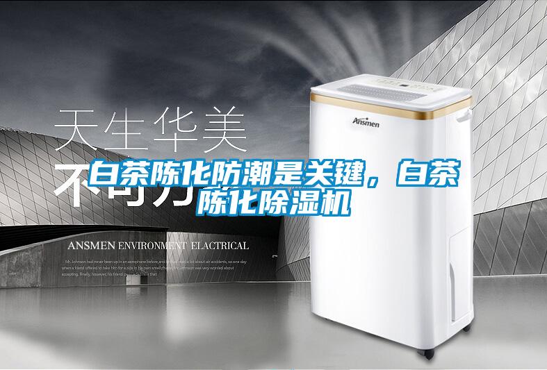 白茶陳化防潮是關(guān)鍵，白茶陳化除濕機(jī)