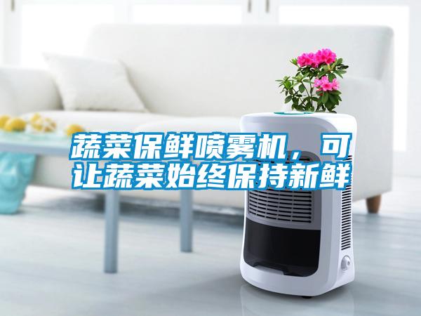 蔬菜保鮮噴霧機(jī)，可讓蔬菜始終保持新鮮