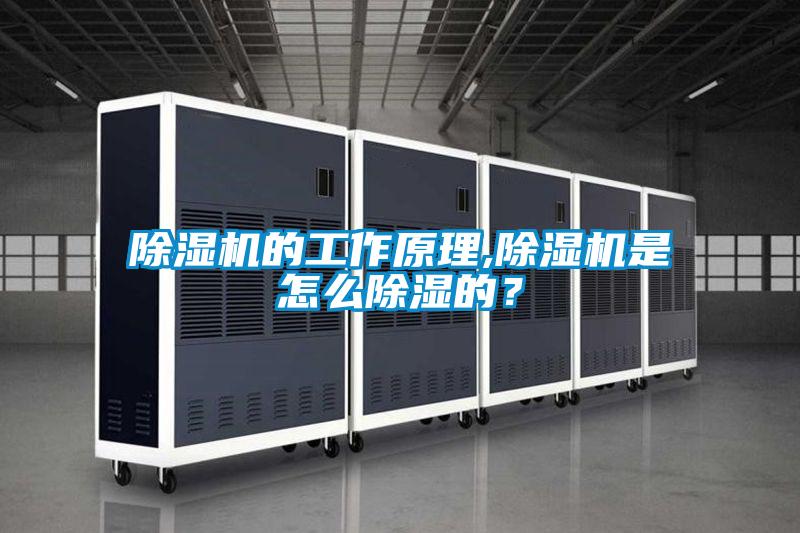 除濕機的工作原理,除濕機是怎么除濕的？