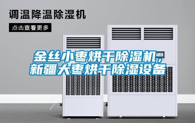 金絲小棗烘干除濕機，新疆大棗烘干除濕設備