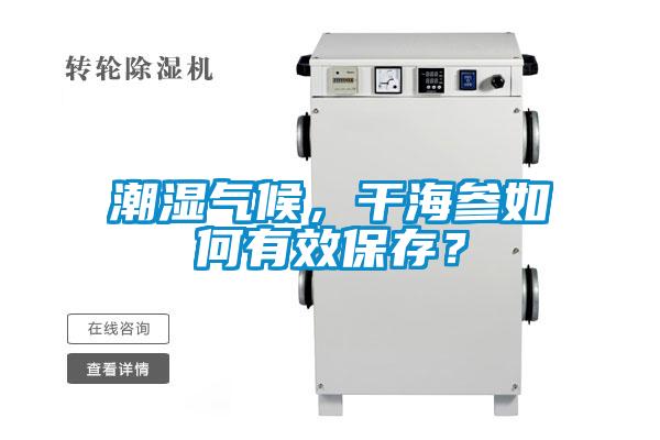 潮濕氣候，干海參如何有效保存？